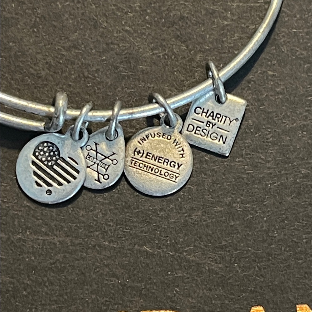 Alex and Ani Silver Queen Bee Charm Bracelet - Picture 5 of 13